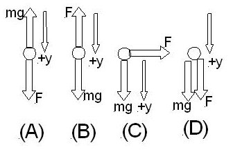 Four possible Free Body Diagrams A, B, C, D.